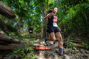 BIB: 
                            <button type="button" onclick="openModal(19388485)" class="btn btn-primary btn-sm float-right btn-popup" data-toggle="modal" data-target=".modal-high-quality">
                        <i class="fas fa-shopping-cart"></i> Add to Cart
                    </button>
                                            <button type="button" onclick="isThisMe(19388485, true)" class="btn btn-success btn-sm float-right btn-popup btn-isme hidden" data-toggle="tooltip" data-placement="bottom" title="นี่คือรูปของคุณใช่ไหม คลิกที่นี่เพื่อเอาเข้าอัลบั้ม">
                        <i class="fas fa-plus"></i> Add to album
                    </button>
                    <button type="button" onclick="isThisMe(19388485, false)" class="btn btn-warning btn-sm float-right btn-popup btn-isnotme hidden">
                        <i class="fas fa-ban"></i> Remove from album
                    </button>